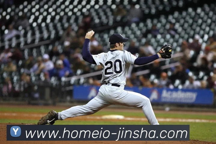 App Interface Preview